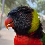 Steven Deaton - @sdeaton2 - Instagram