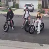 steve dell - @steve.dell7 - TikTok