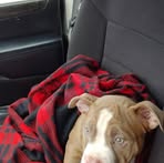 Steven DePriest - Facebook