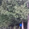 stevedew6 - @stevedew6 - TikTok
