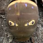 Steve Dewar - @evildewar - Instagram