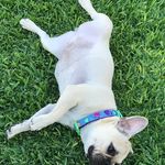 Steve Dewey - @stevedewey66 - Instagram
