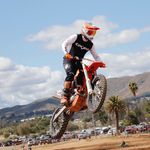 Steve Dewitt - @thisishowiedewitt - Instagram