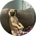 Steve Dewitt - @doitt.4545 - Instagram