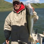 Steve DeWitt - @stevedewitt1024 - Instagram
