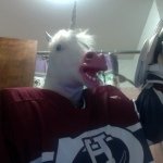Steven Difilippo - @goalie_unicorn - Instagram