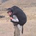 Steve Dilger - Facebook