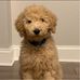 Steve Dilger - Facebook