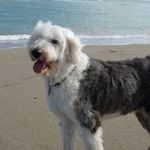 Steve Dillingham - @steve.dillingham.50 - Instagram