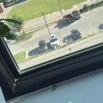 Stevie Dimauro - Facebook