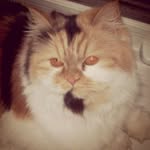 SteveDitchfield12 - @steveditchfield12 - Instagram