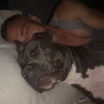 Steve Dittmann - @steven.katerbau - Instagram