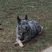 Steve Dockery - Facebook