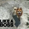 Steve Dolan - @stevedolan0 - TikTok