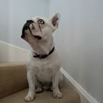 Steve Donald - @stevedonald6634 - Instagram