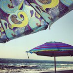Steve Donatelli - @stevedono - Instagram