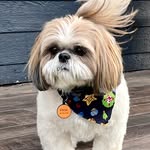 Steve Donato - @ckb39133 - Instagram