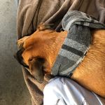 Steve Doolittle - @doolittle6582 - Instagram
