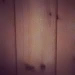 stev - @stev_edorn - Instagram