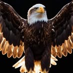Steve Dorrough - Facebook