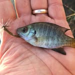 Steve Doty - @spdoty1 - Instagram