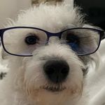 Steve Doty - @stephenddoty - Instagram