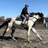 Steve Doucet - @lizard220 - TikTok