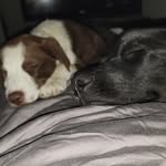 Steve Doucette - @steve.doucette.9 - Instagram
