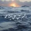 Steve Doughty - @stevedoughty7069 - TikTok