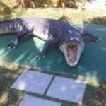 Steve Dowell - @dowell.steve - Instagram