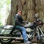 Steve Dowers - @steve.dowers - Instagram