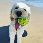 Steve Down - @sounique01 - Instagram