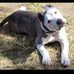 Steve Downard - Facebook