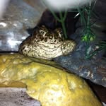 Steve Downard - @downardsteve - Instagram