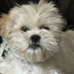 Steve Downer - @steven.downer1 - Instagram