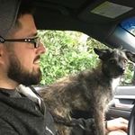 Steve Downer - @downer_steve - Instagram