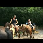 Steve Doyle - @dr.fragenstein - Instagram