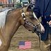 Steve Doyle - Facebook