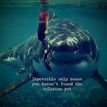 Carlton Steve dray - @carltonstevedray - Instagram