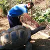 stevedrennan783 - @stevedrennan783 - TikTok
