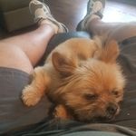 Steve Dreyer - @sfd0153 - Instagram