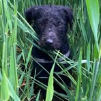 Stephen Dryden - Facebook