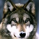 Steve DuBose - @stevedubose7 - Instagram