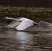 Stephen Duckworth - Facebook