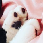 Steve Duckworth - @hisnameisstevenduckworth - Instagram