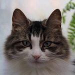 Steve Dunham - @dunham.steve - Instagram