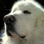 Steve Dunham - @steve.dunham.90 - Instagram