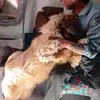 Steve Dunham Ramirez - @steve.dunham.rami - TikTok