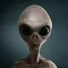stevenbainedunkle - @stevenbainedunkle - TikTok