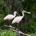 Steve Dutcher - Facebook